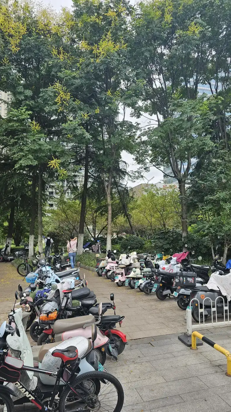 出地铁口后向左，沿树荫下的人行道直行